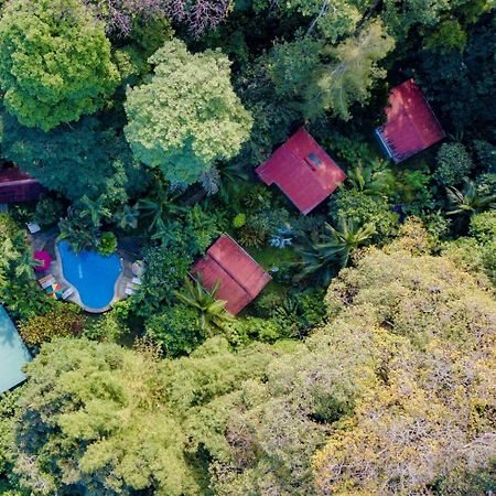 Cabinas Iguana Cahuita Zewnętrze zdjęcie