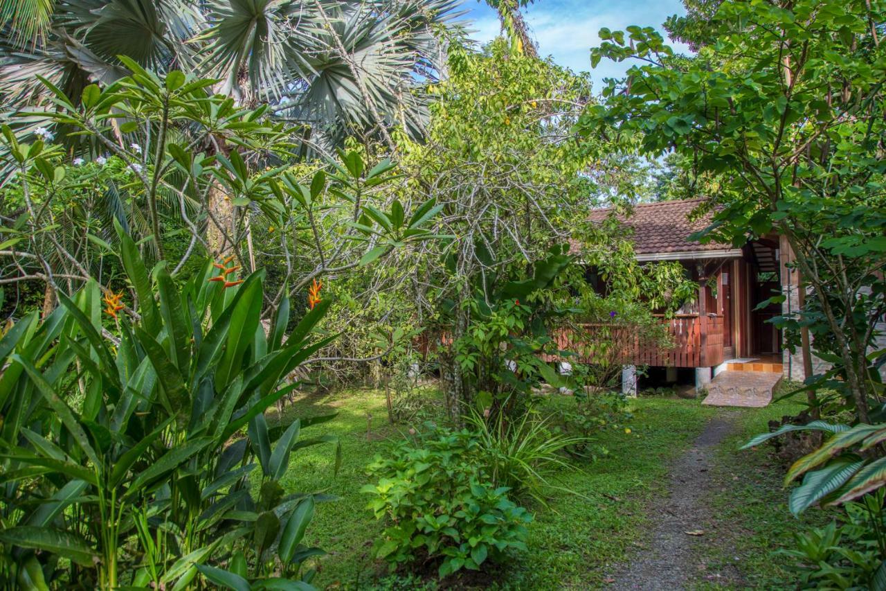 Cabinas Iguana Cahuita Zewnętrze zdjęcie