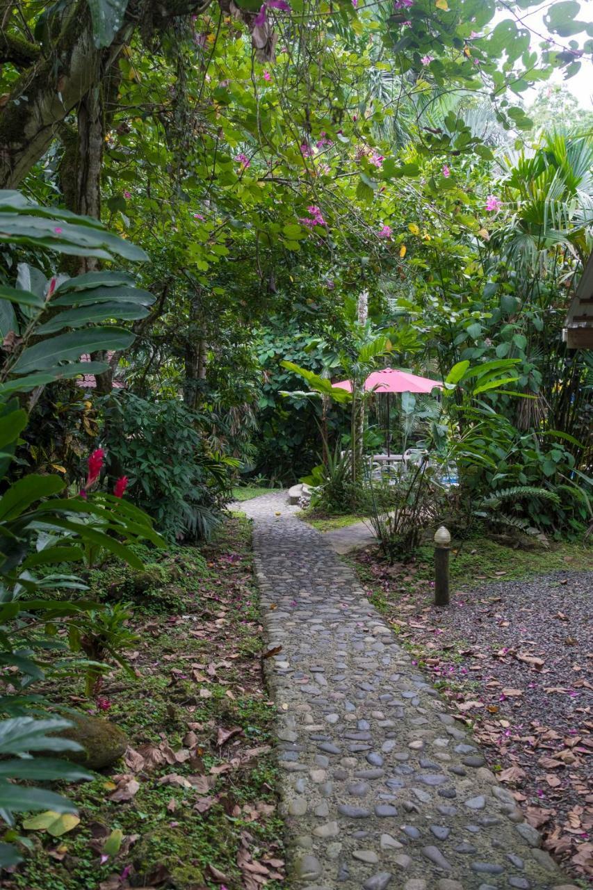 Cabinas Iguana Cahuita Zewnętrze zdjęcie