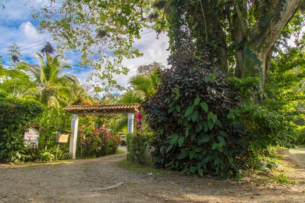 Cabinas Iguana Cahuita Zewnętrze zdjęcie