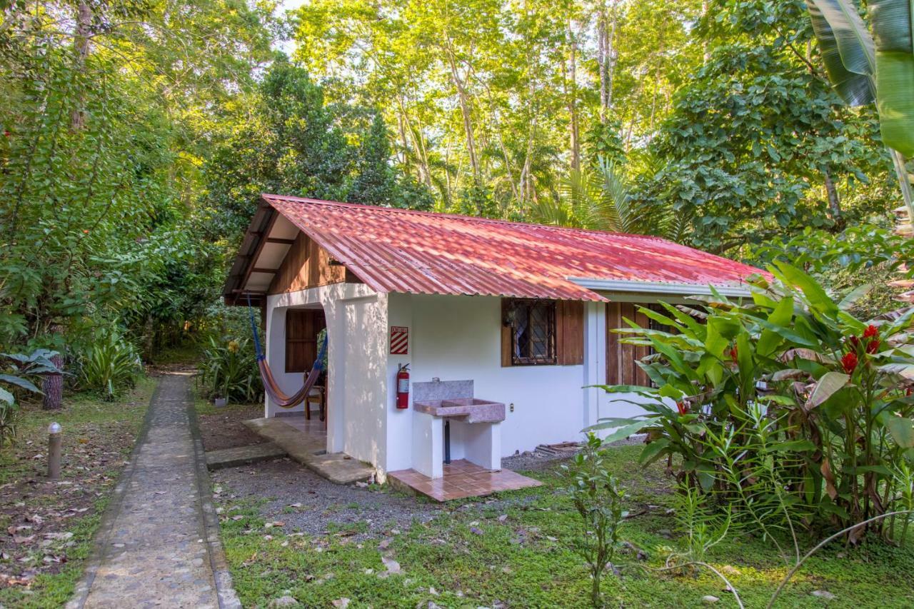 Cabinas Iguana Cahuita Zewnętrze zdjęcie