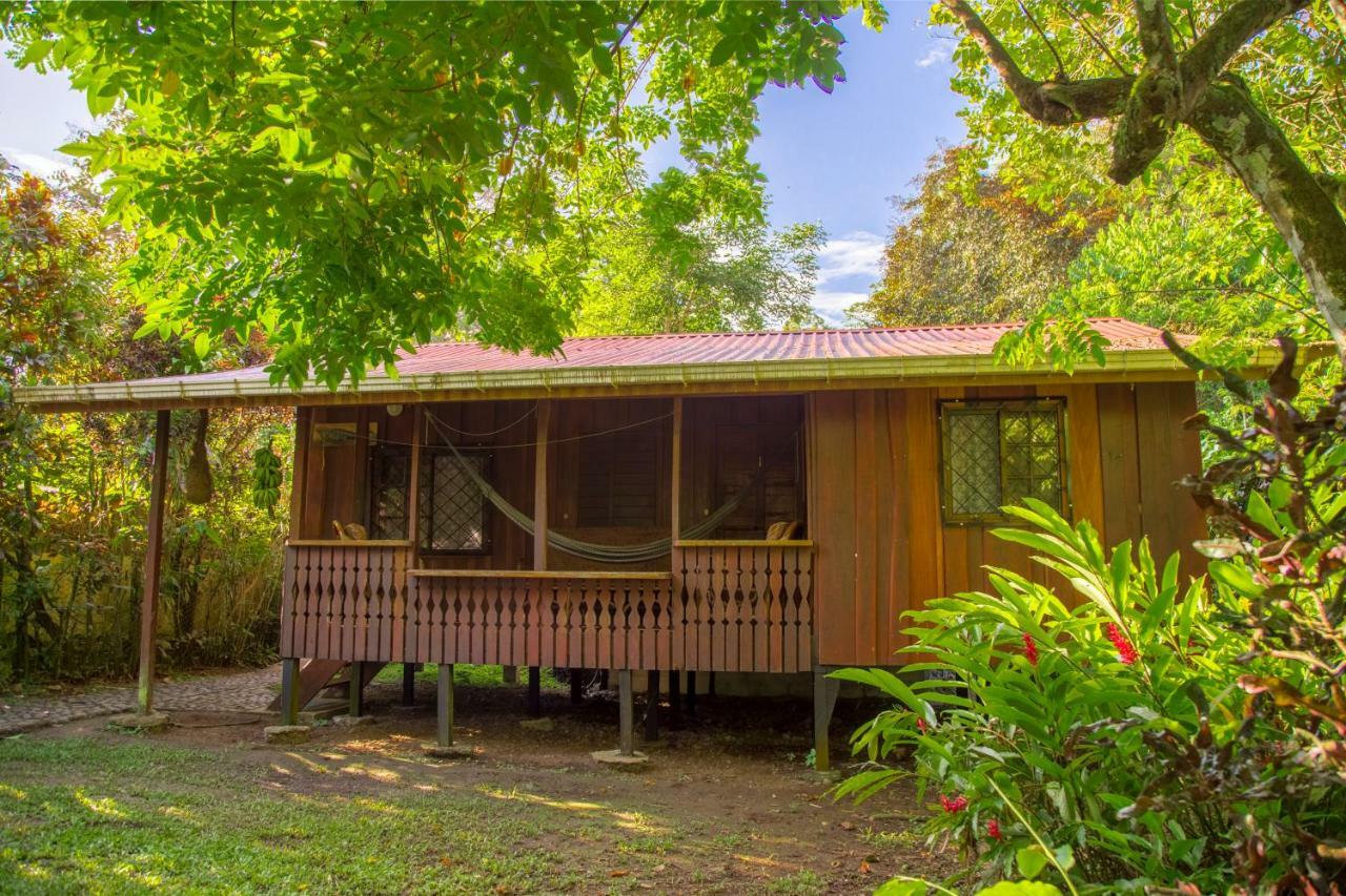 Cabinas Iguana Cahuita Zewnętrze zdjęcie