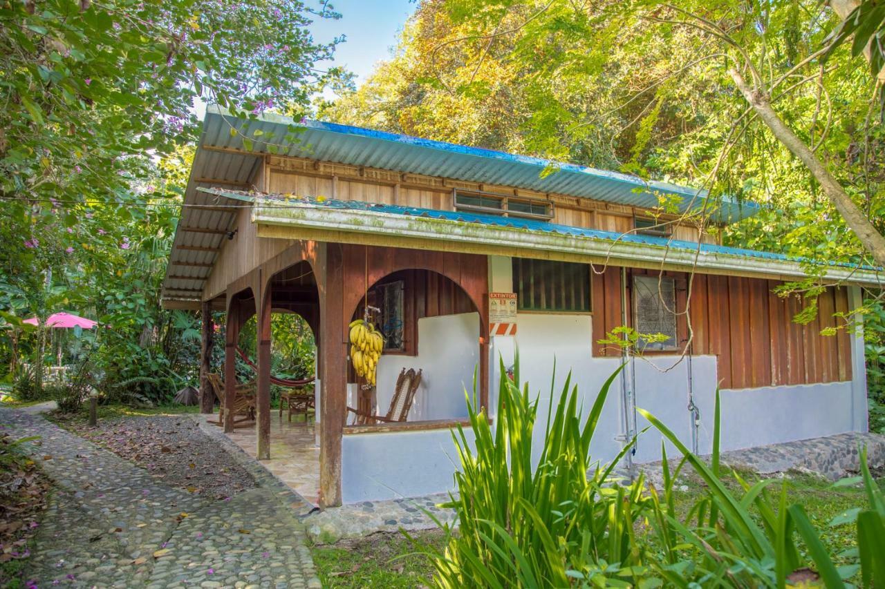 Cabinas Iguana Cahuita Zewnętrze zdjęcie