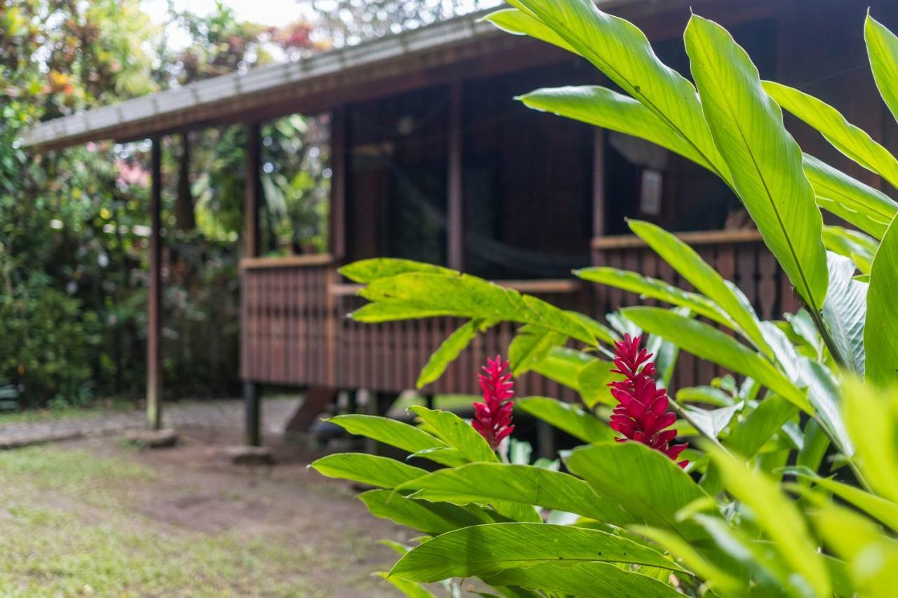 Cabinas Iguana Cahuita Zewnętrze zdjęcie