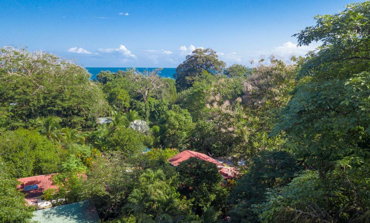 Cabinas Iguana Cahuita Zewnętrze zdjęcie