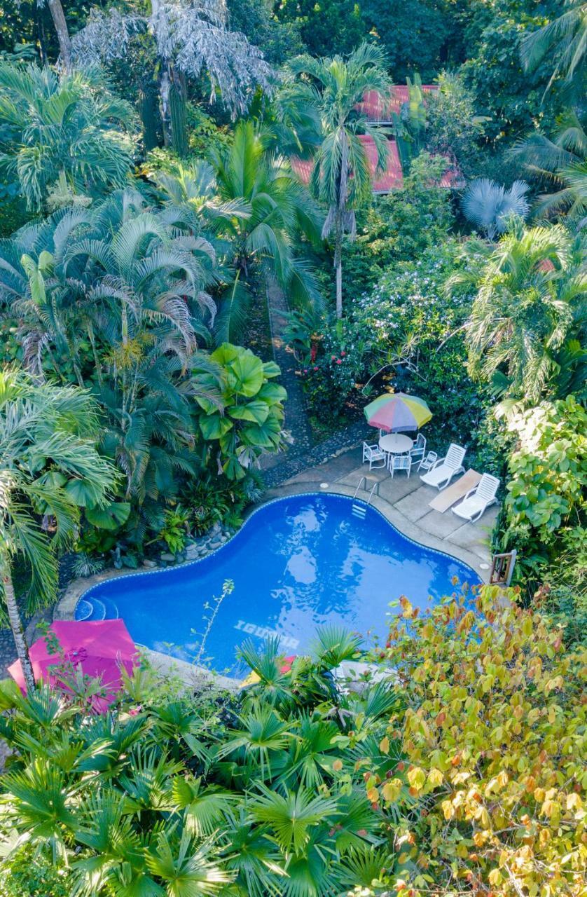 Cabinas Iguana Cahuita Zewnętrze zdjęcie