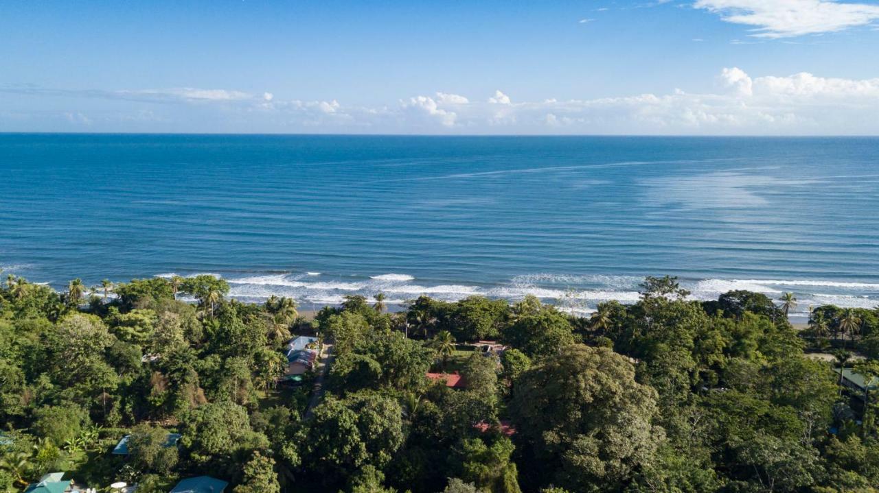 Cabinas Iguana Cahuita Zewnętrze zdjęcie