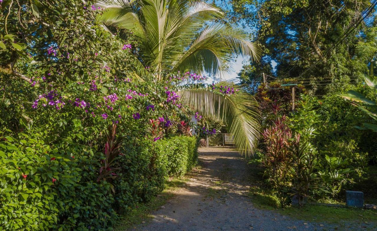 Cabinas Iguana Cahuita Zewnętrze zdjęcie