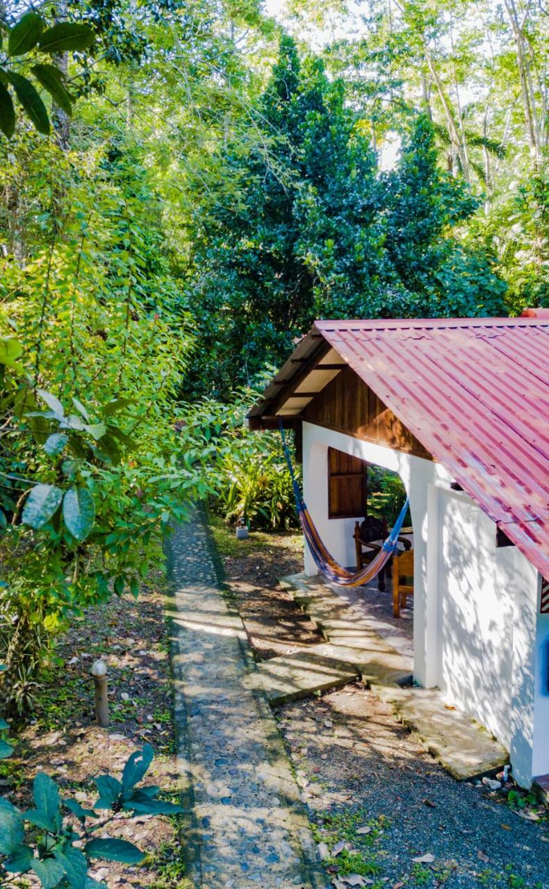 Cabinas Iguana Cahuita Zewnętrze zdjęcie